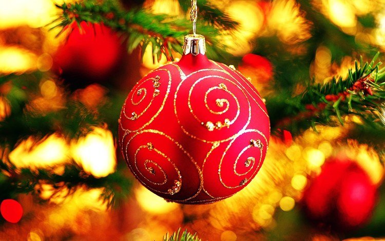 новый год, елка, шар, шарик, праздник, елочные игрушки, 2010, санта клаус, новогодний шар, new year, tree, ball, holiday, christmas decorations, santa claus, christmas ball