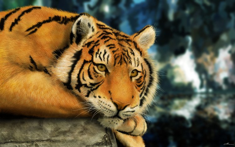 тигр, морда, лапы, смотрит, хищник, большая кошка, бенгальский тигр, tiger, face, paws, looks, predator, big cat, bengal tiger