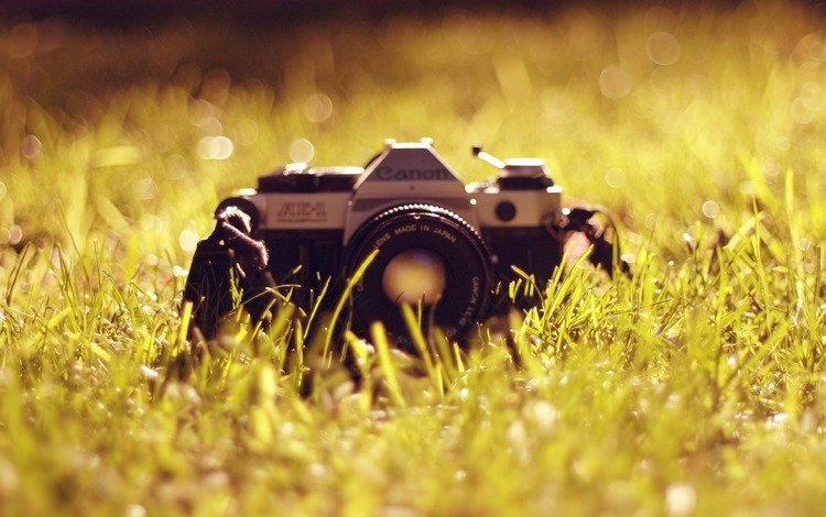трава, фотоаппарат, объектив, антиквариат, канон, grass, the camera, lens, antiques, canon