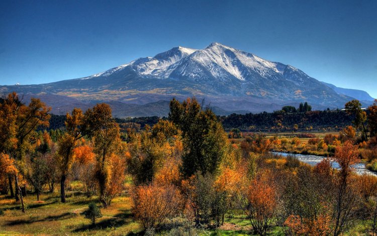 деревья, гора, осень, trees, mountain, autumn