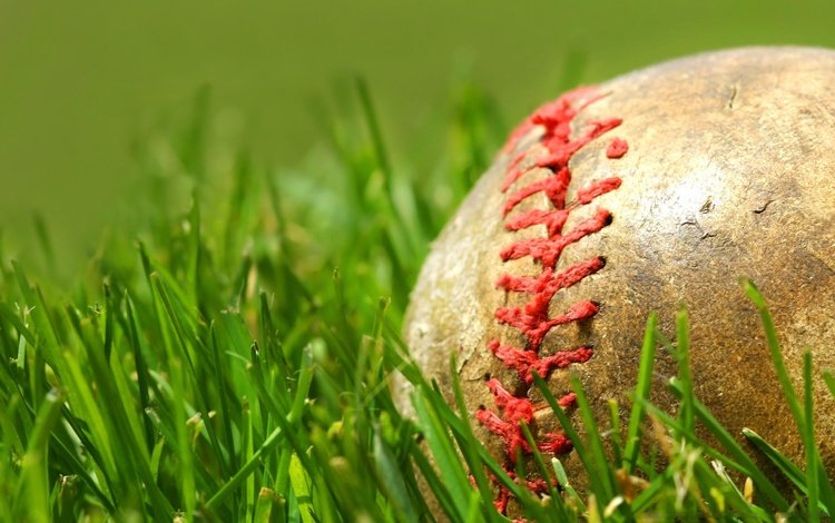 трава, зелёный, мяч, шов, бейсбольный мяч, grass, green, the ball, seam, baseball
