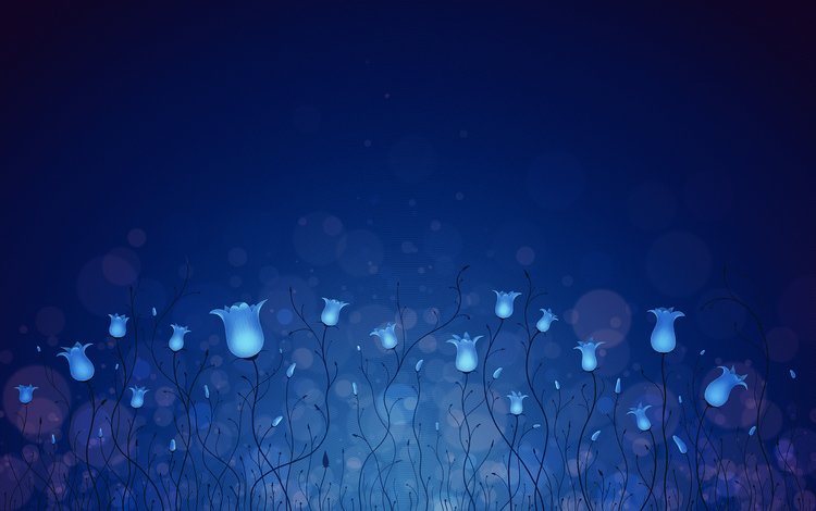 цветы, синий, колокольчики, flowers, blue, bells