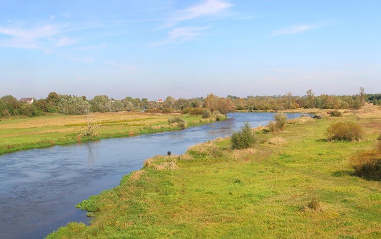 дорога, деревья, река, road, trees, river