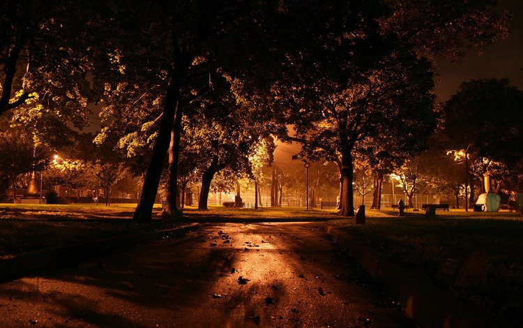 ночь, деревья, фонари, night, trees, lights
