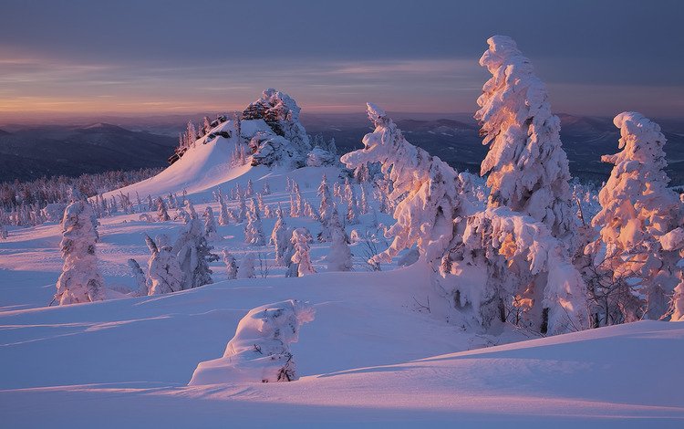 снег, природа, лес, закат, зима, snow, nature, forest, sunset, winter