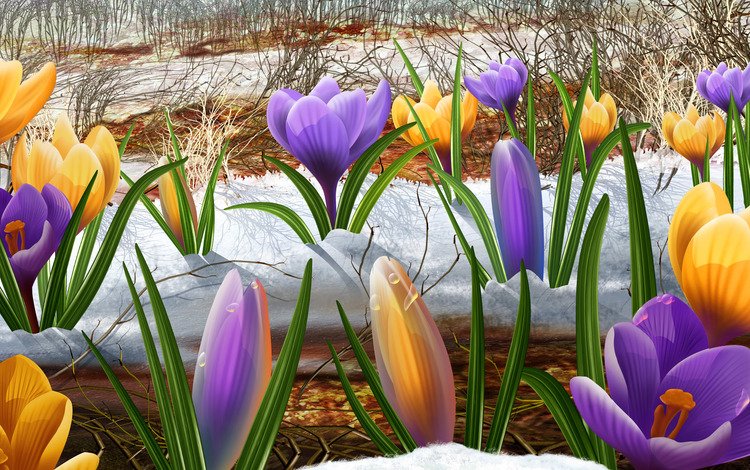 цветы, снег, весна, flowers, snow, spring