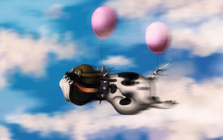 небо, облака, пилот, полет, собака, воздушные шары, the sky, clouds, pilot, flight, dog, balloons