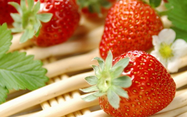 ягода, еда, клубника, витамины, berry, food, strawberry, vitamins