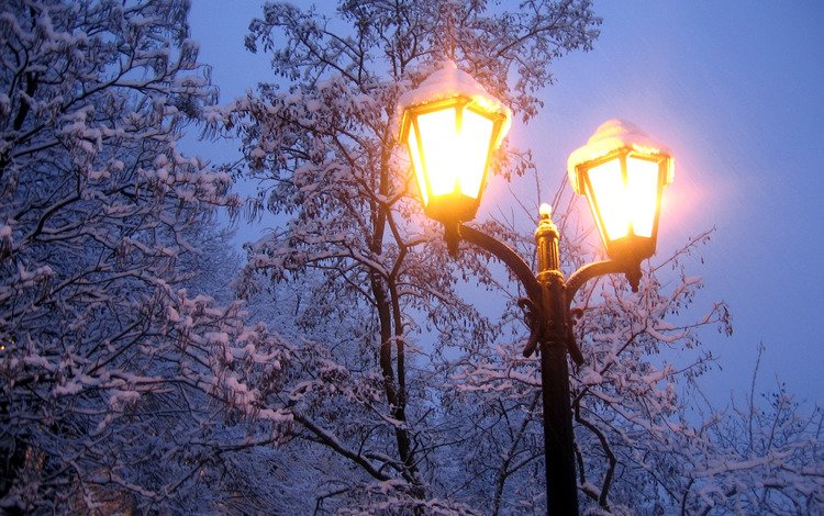свет, холод, деревья, фонарь, вечер, снег, природа, зима, ветки, мороз, light, cold, trees, lantern, the evening, snow, nature, winter, branches, frost