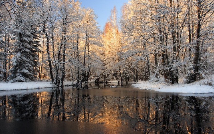 деревья, вода, снег, природа, зима, фото, лёд, зимние обои, trees, water, snow, nature, winter, photo, ice, winter wallpaper