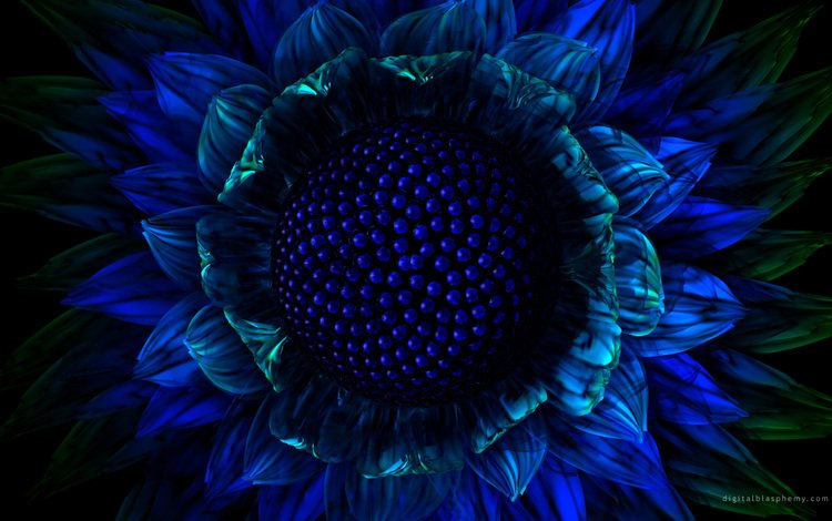 синий, цветок, графика, blue, flower, graphics