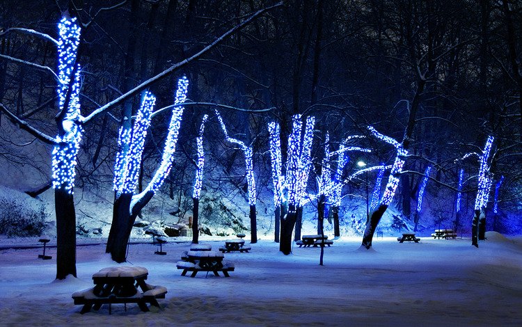 деревья, снег, зима, иллюминация, праздник, рождественские огни, trees, snow, winter, illumination, holiday