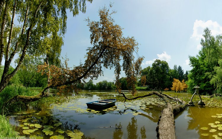 деревья, озеро, лодка, trees, lake, boat
