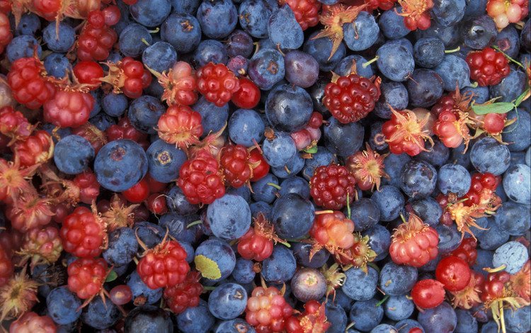 малина, еда, ягоды, лесные ягоды, черника, raspberry, food, berries, blueberries