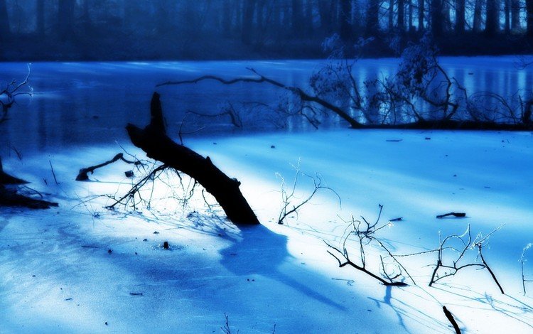 свет, зима, ветки, мороз, иней, лёд, голубой, light, winter, branches, frost, ice, blue