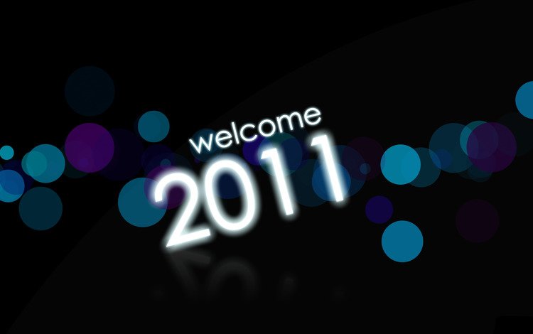 праздник, 2011 год, прием, holiday, 2011, welcome