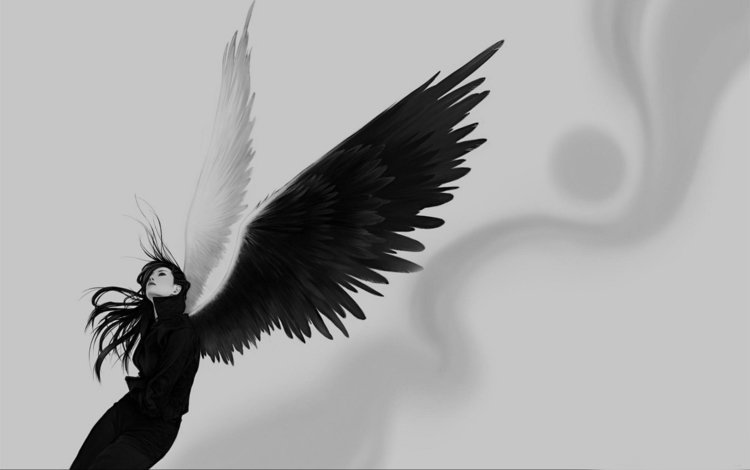 девушка, крылья, черный, girl, wings, black