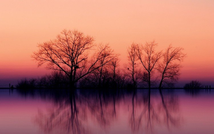 небо, деревья, закат, отражение, силуэт, the sky, trees, sunset, reflection, silhouette