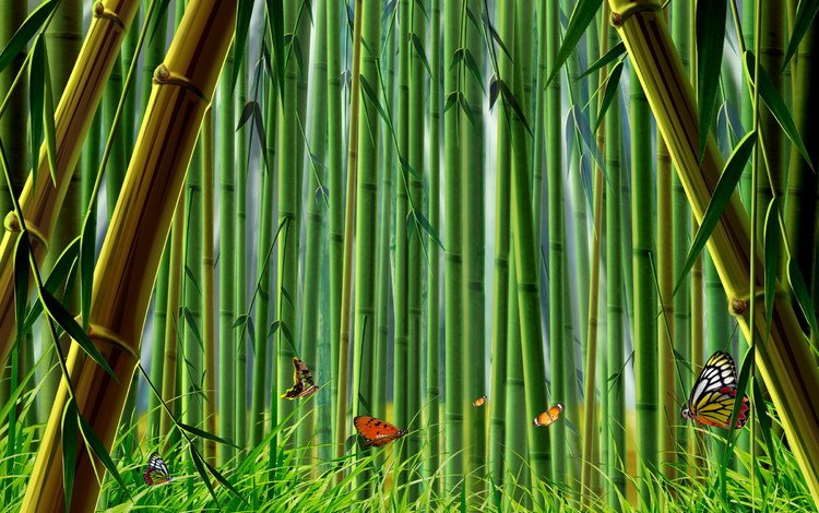 трава, бамбук, бабочки, grass, bamboo, butterfly