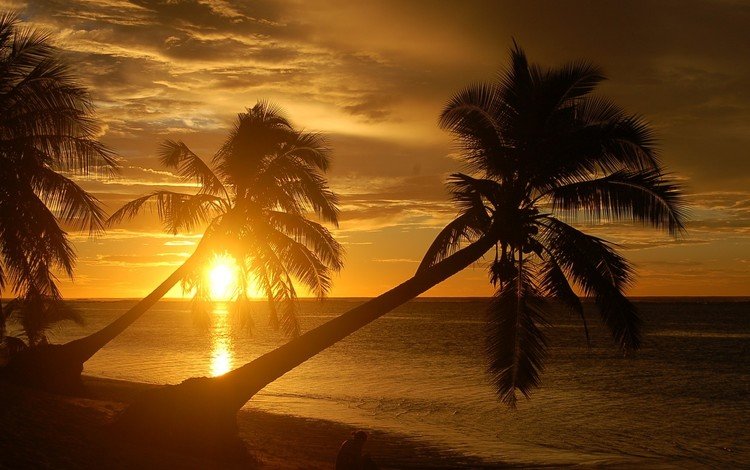 небо, горизонт, вечер, пальмы, солнце, природа, берег, закат, море, пляж, the sky, horizon, the evening, palm trees, the sun, nature, shore, sunset, sea, beach