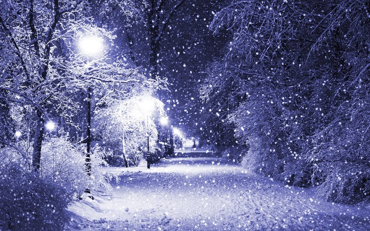 ночь, деревья, фонари, снег, зима, парк, night, trees, lights, snow, winter, park
