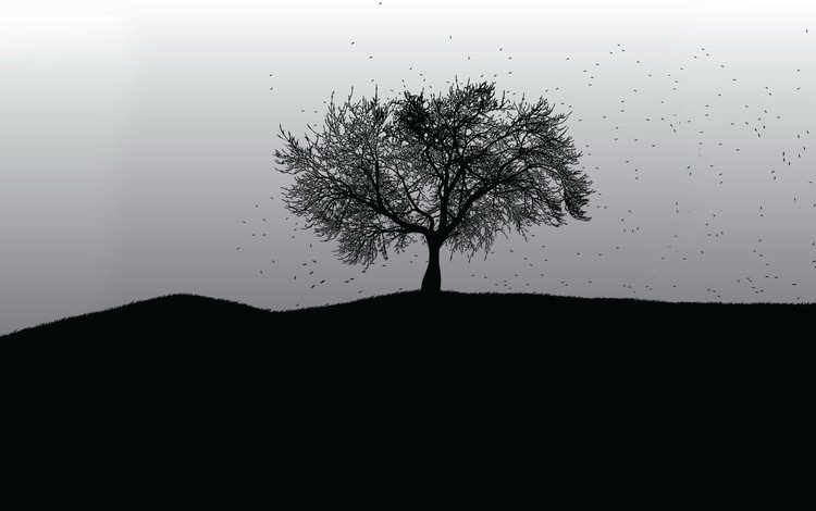 дерево, вектор, черно-белая, tree, vector, black and white
