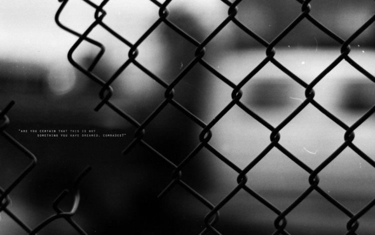 проволока, слова, забор, чёрно-белое, выражение, wire, words, the fence, black and white, the expression