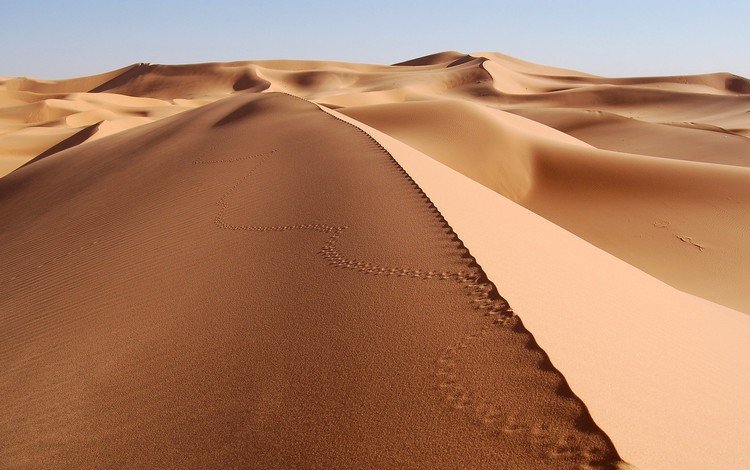 песок, пустыня, следы, sand, desert, traces