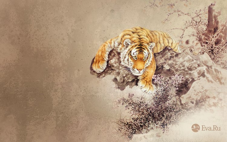 тигр, рисунок, животные, tiger, figure, animals