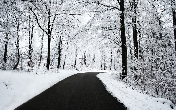 дорога, снег, лес, зима, road, snow, forest, winter