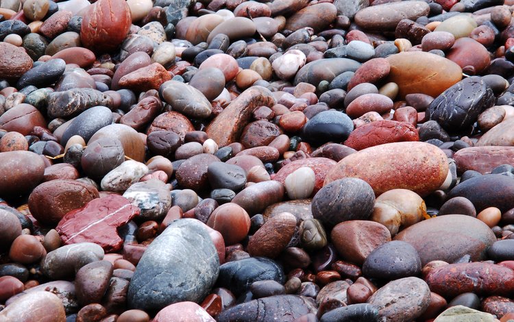 камни, галька, пляж, мока, мокрые, stones, pebbles, beach, moka, wet