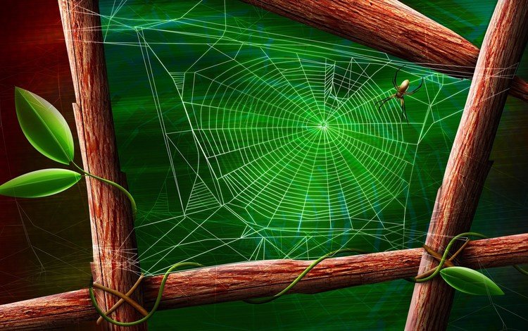 зелёный, лист, паук, паутина, green, sheet, spider, web
