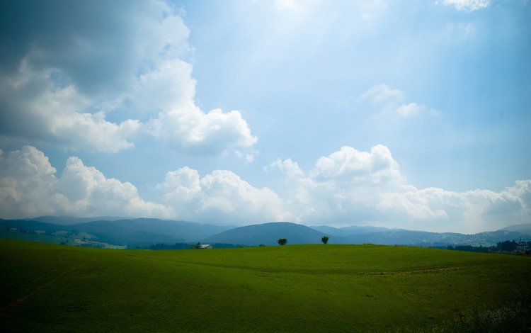 небо, трава, холмы, the sky, grass, hills