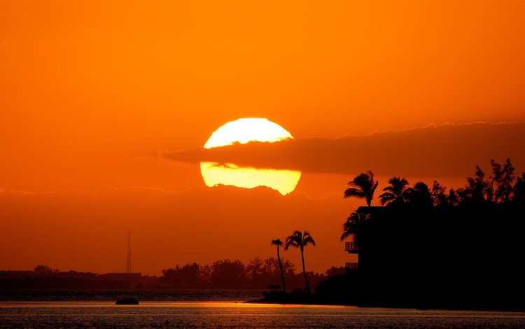 солнце, закат, тучи, море, пальмы, the sun, sunset, clouds, sea, palm trees