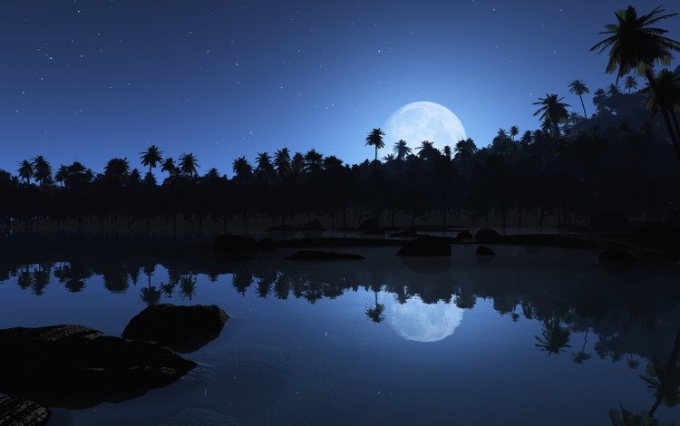 отражения, звезды, луна, пальмы, reflection, stars, the moon, palm trees
