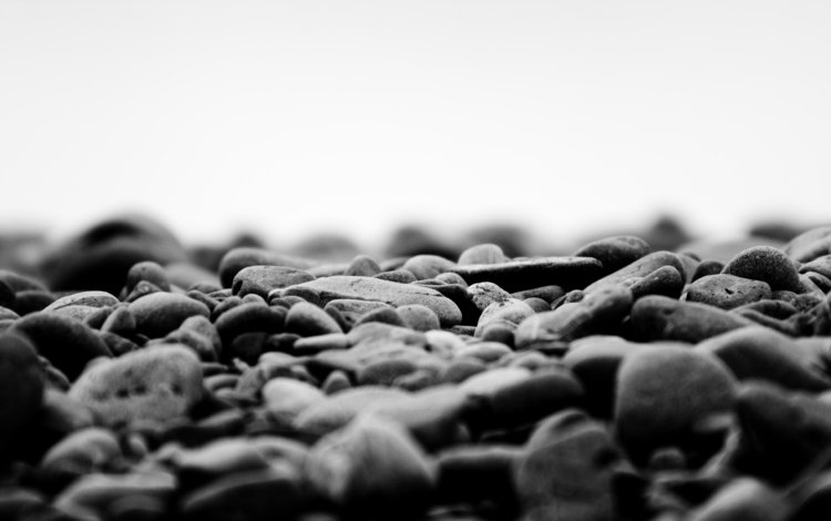 природа, камни, макро фото, чёрно-белое, nature, stones, macro photo, black and white