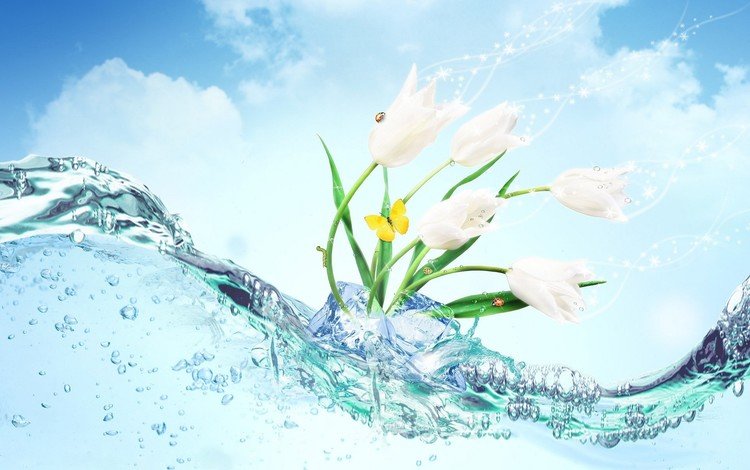 цветы, вода, бабочка, лёд, flowers, water, butterfly, ice