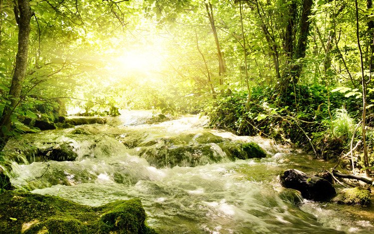 зелень, речка, бурная, солнечный свет, greens, river, rapid, sunlight