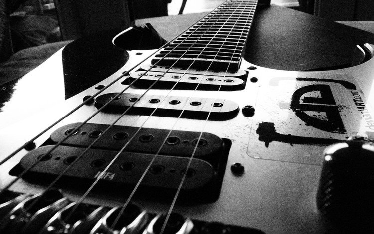 чёрно-белое, струны, черная, электрогитара, звукосниматели, black and white, strings, black, electric guitar, pickups