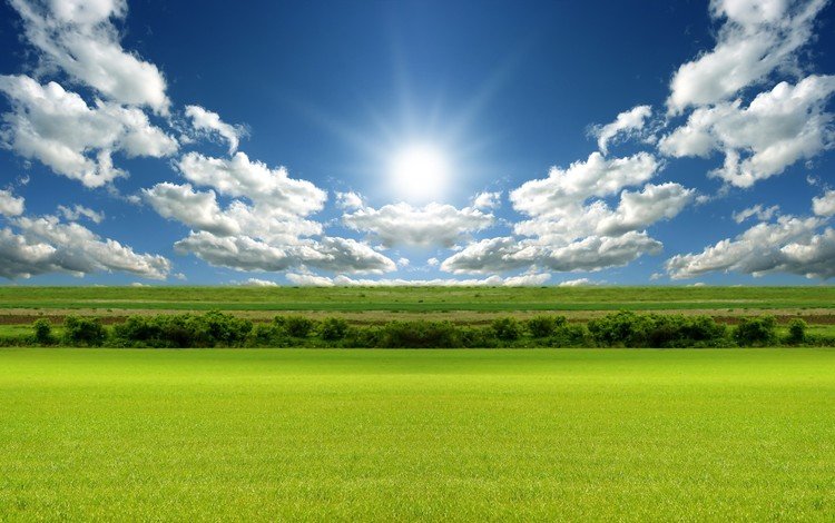 облака, солнце, поле, clouds, the sun, field