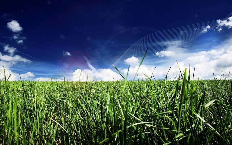 трава, облака, линии, grass, clouds, line
