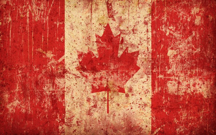 флаг, канада, кленовый лист, flag, canada, maple leaf