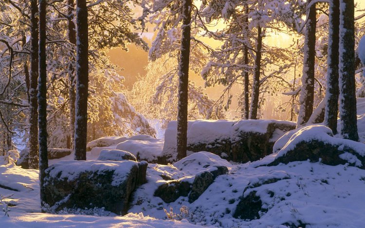 свет, снег, камни, лес, зима, light, snow, stones, forest, winter
