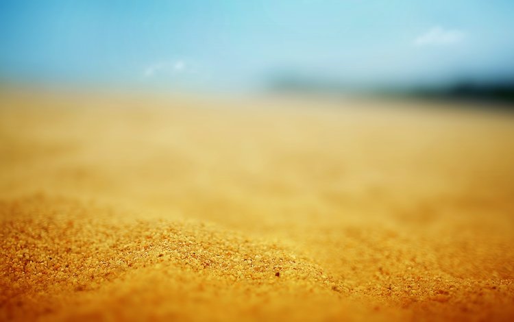 солнце, макро, песок, пляж, отдых, the sun, macro, sand, beach, stay