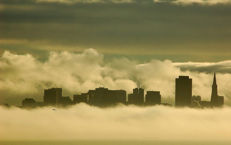 туман, чайка, здания, fog, seagull, building