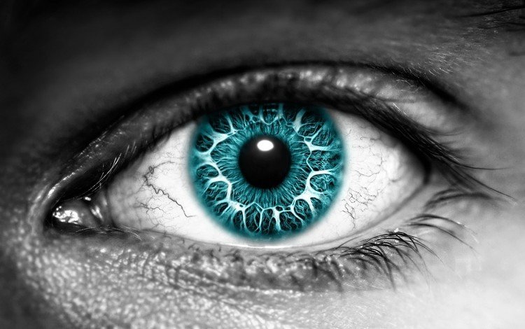 цвет, черно-белая, глаз, зрачок, color, black and white, eyes, the pupil