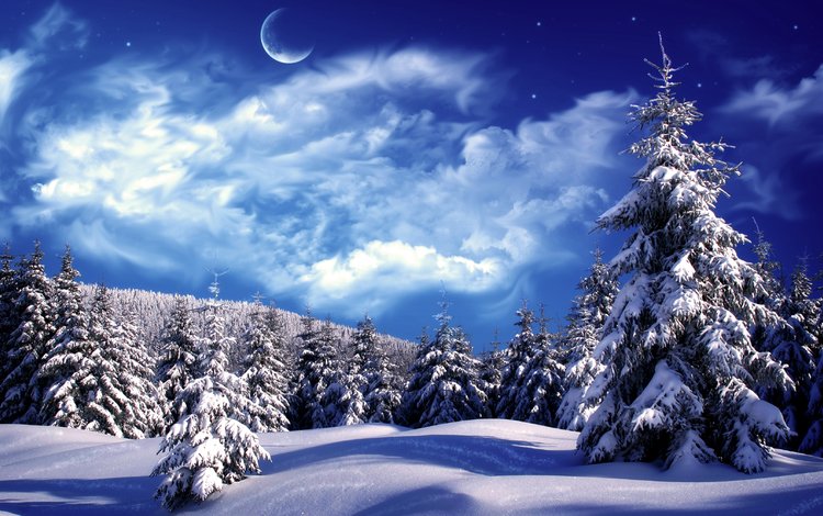 облака, снег, зима, елки, clouds, snow, winter, tree