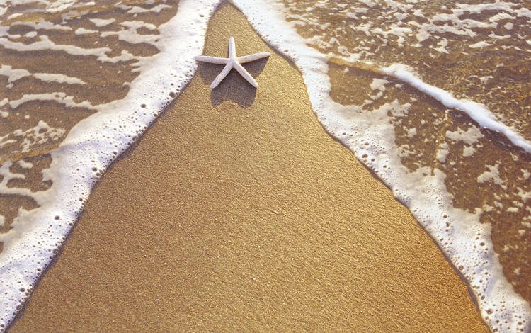 вода, берег, песок, звезда, water, shore, sand, star