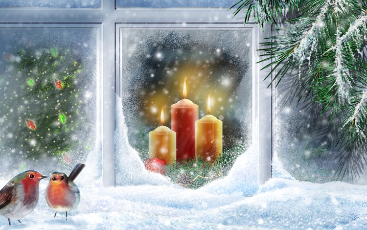 снег, праздник, свечи, новый год, елка, вектор, ветки, птицы, окно, snow, holiday, candles, new year, tree, vector, branches, birds, window