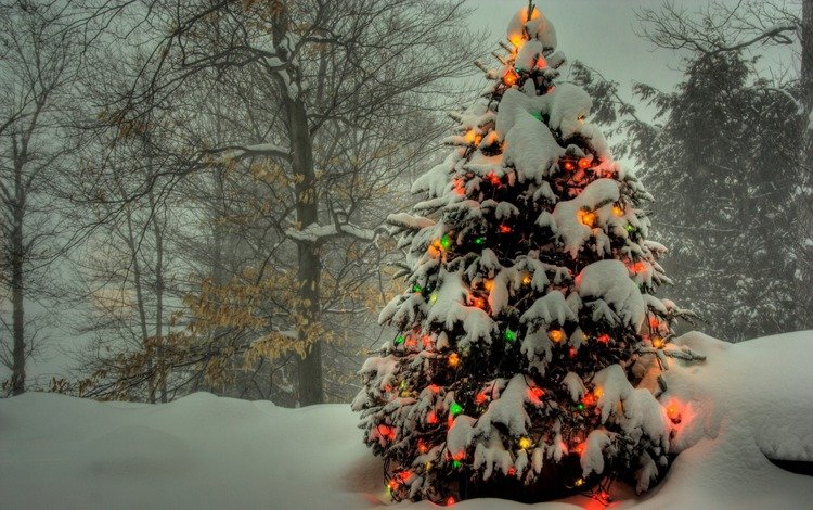 огни, снег, елка, гирлянды, цветные, зимний.лес, lights, snow, tree, garland, colored, winter.forest